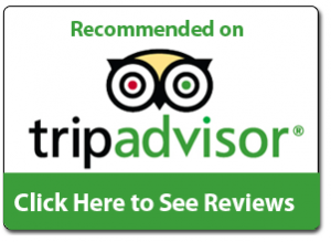 tripadvisor-logo